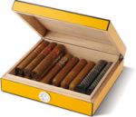 Humidor 25 Royale Giallo